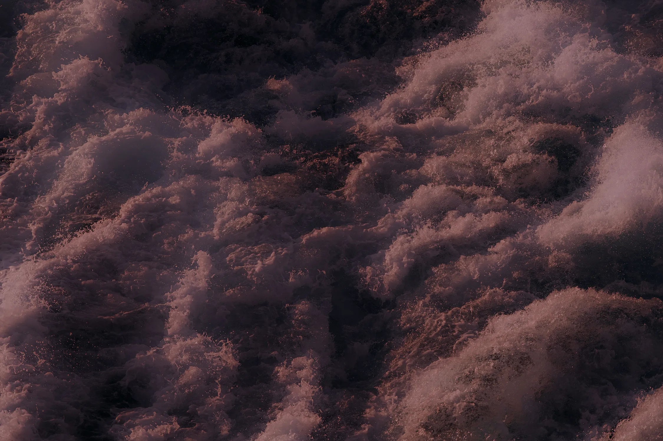 Jack Crap Spirits Manifest-Bild von Andrei Popescu - Rumflasche in stimmungsvoller Beleuchtung