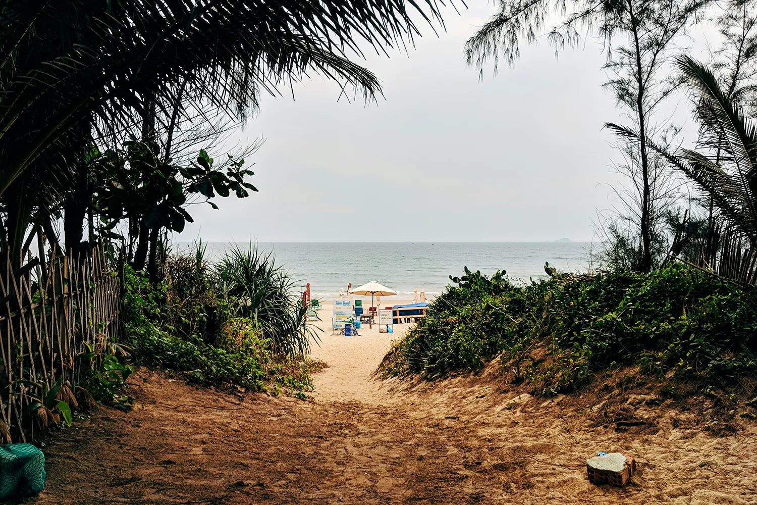 Rumglas mit Eiswürfeln und Zitrusfrüchten - Header-Bild von Markus Winkler